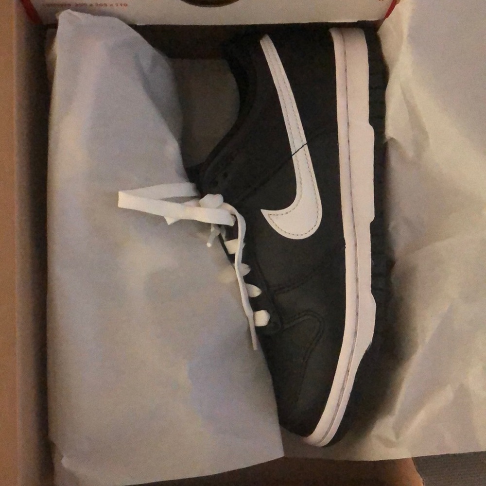 Brand New Panda (Reverse)